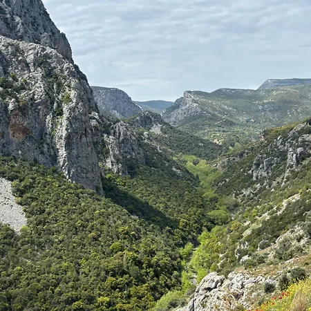 Aegean House * 凯米